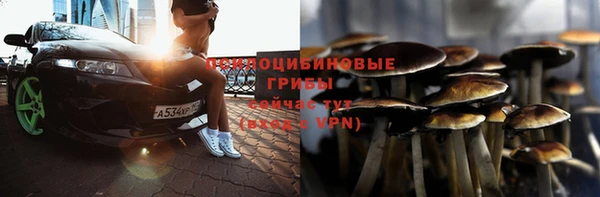 СК Алексин