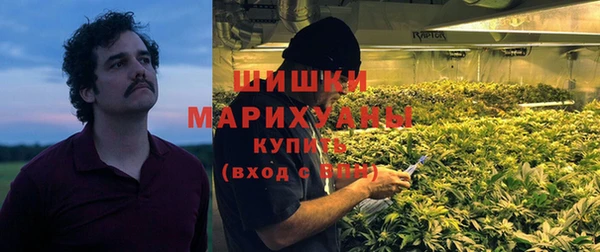 СК Алексин